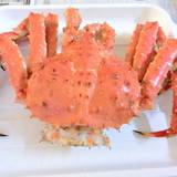 かに大将(カニダイショウ)