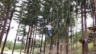 ロープ コース (チーム ビルディング用) / 1