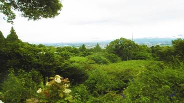 施設の敷地 / 19