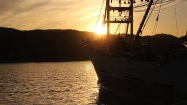 シティ ビュー / 18