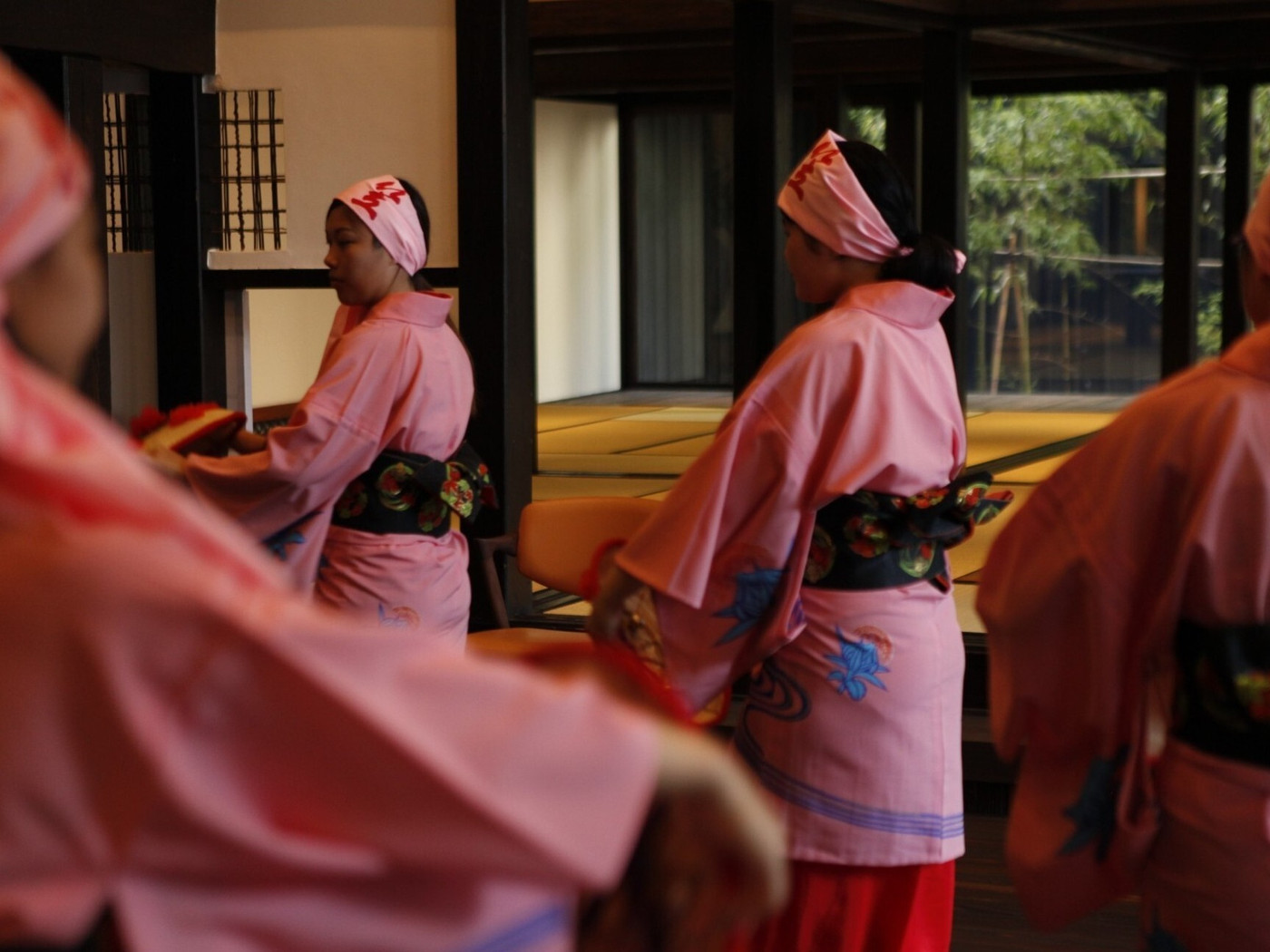 伝統の踊りに風情を感じて3724182