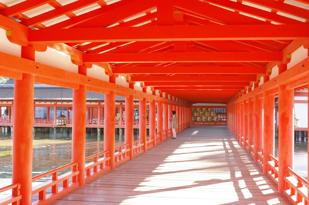 早朝に参拝。きゅっと気持ちが引き締まります◎3694315