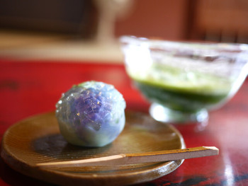 「久連波」 料理 69821048 抹茶（冷）と上生菓子（紫陽花）
