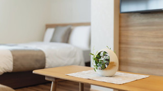 スタンダードD  禁煙