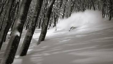 スノー スポーツとスキー / 13