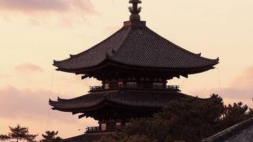 施設からの眺望 / 25