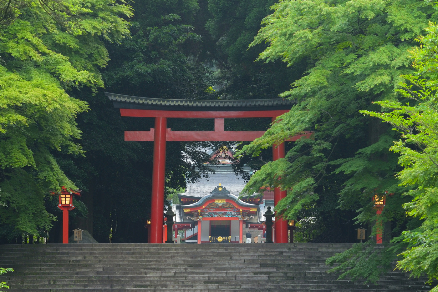 霧島神宮