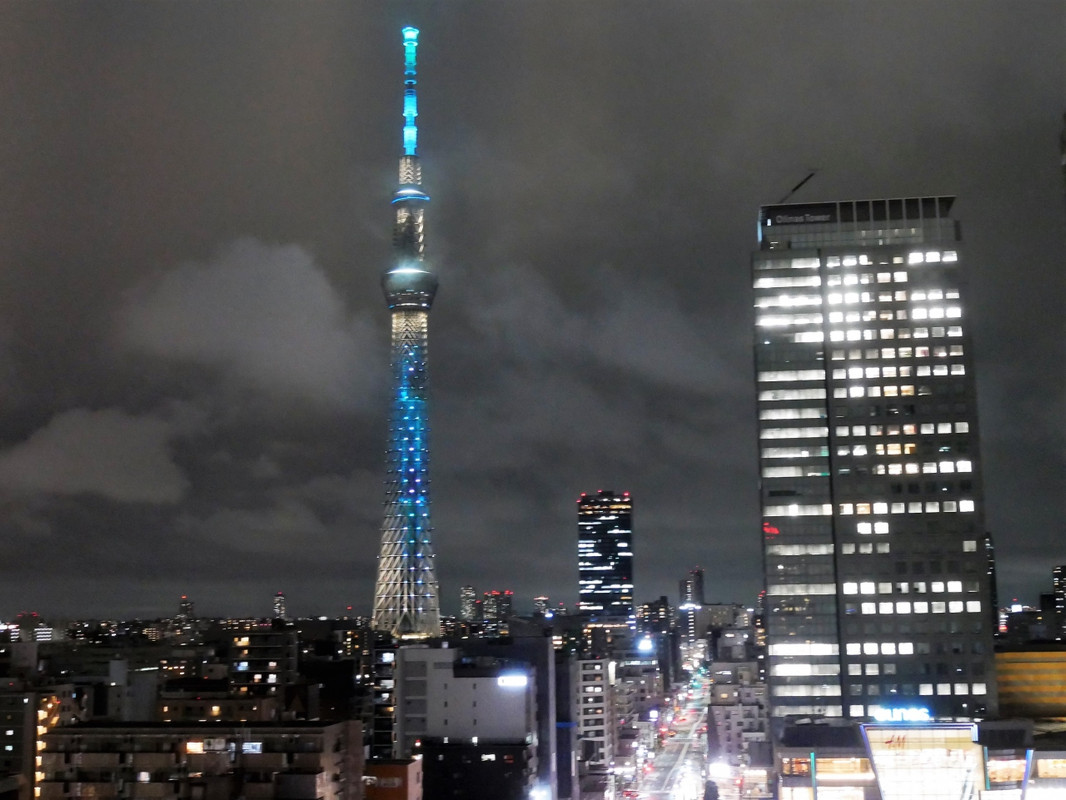 客室からの眺望