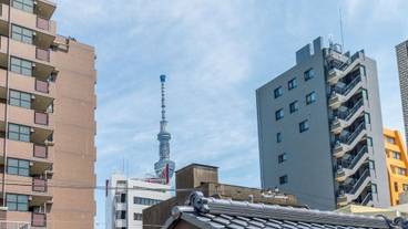 シティ ビュー / 7