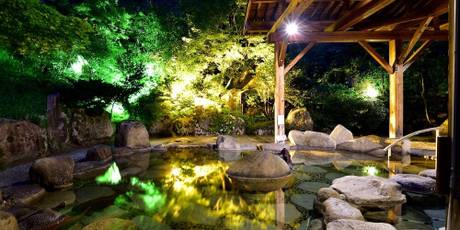 村杉温泉 風雅の宿 長生館