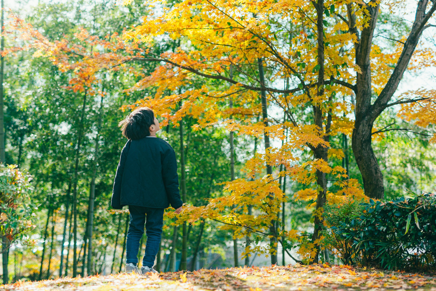 少し肌寒くてそろそろ冬の訪れを感じる頃の写真です