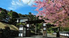 伊東温泉 横浜藤よし伊豆店