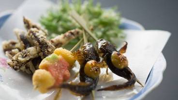 食事・飲み物 / 5