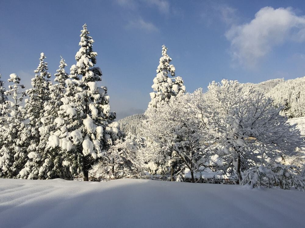 施設からの眺望