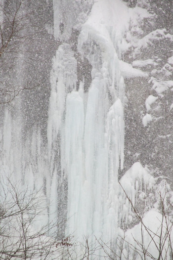 平湯大滝まで歩いてみよう4025377