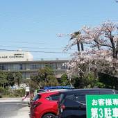 玉造温泉 玉造国際ホテル（島根県 リゾートホテル） / 5