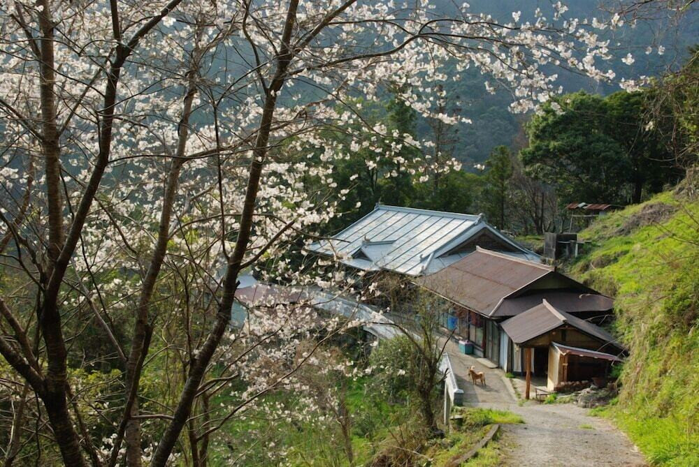 マウンテン ビュー