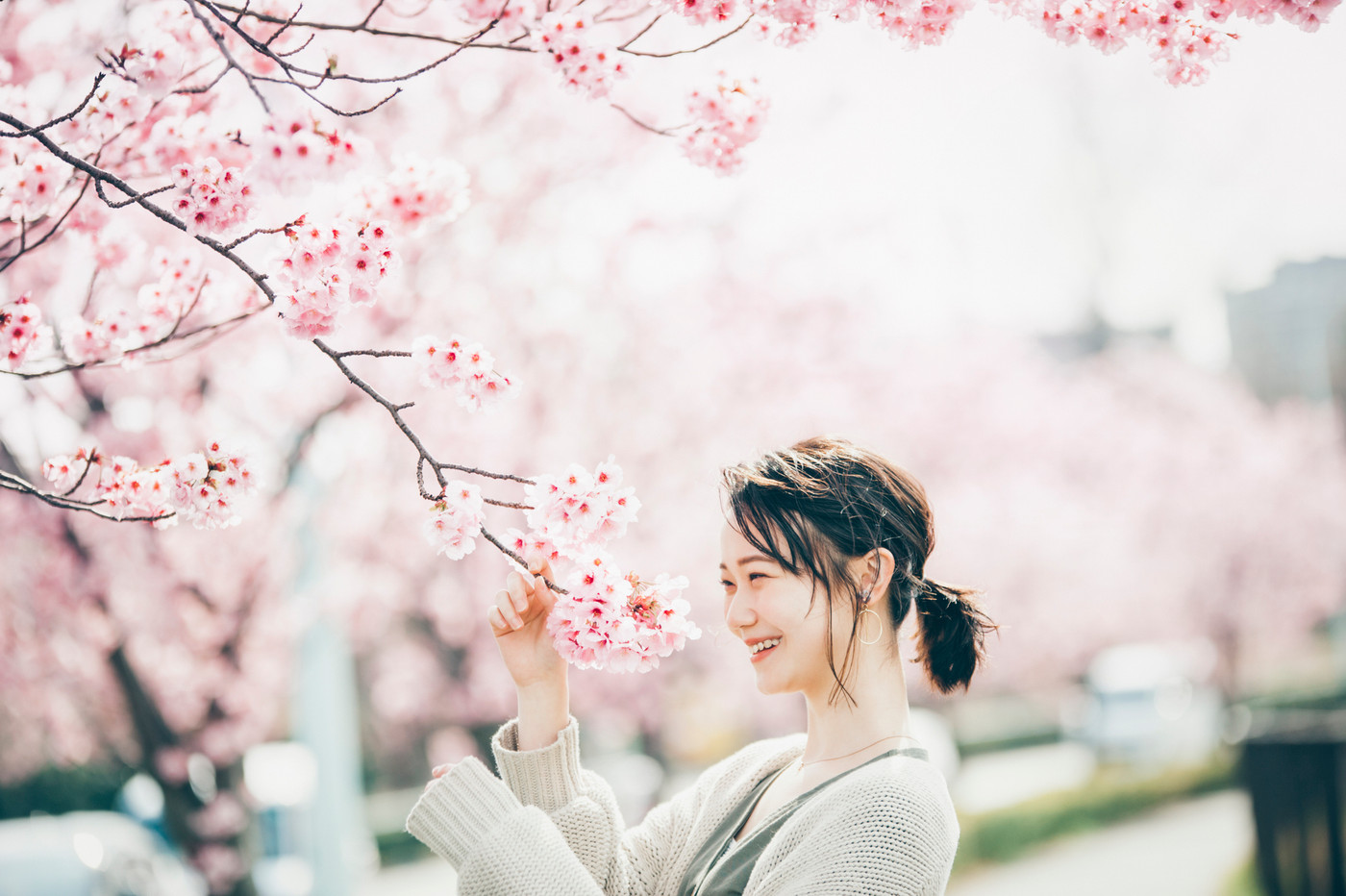 桜　春　女性