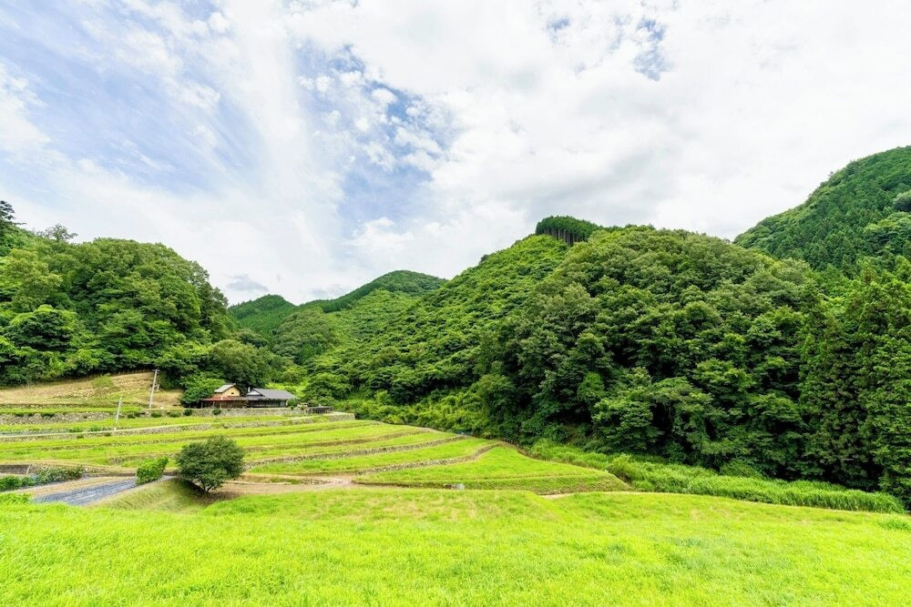 テラス / パティオ