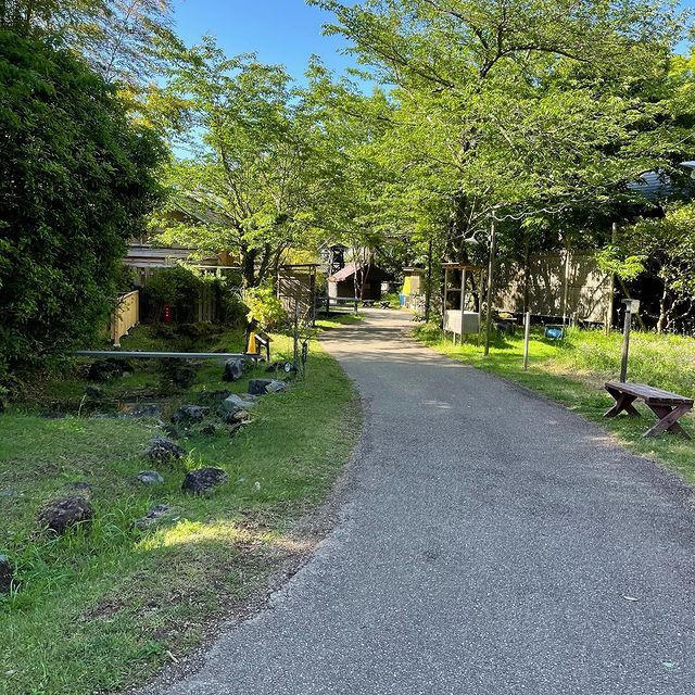 usa_pipiさんの写真 / 2