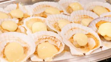 レストラン / 36