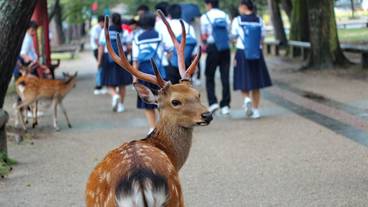 ランド ビュー / 15