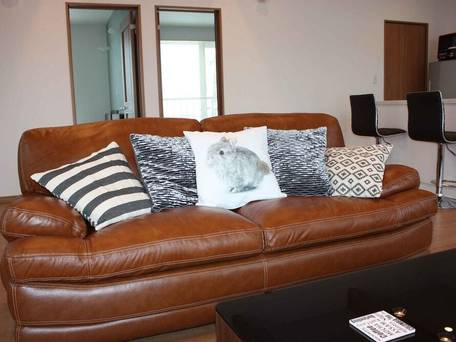 Diamond Dust Furano / 1