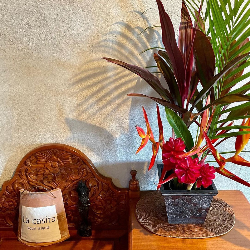 amiamiami74さんの写真 / 1