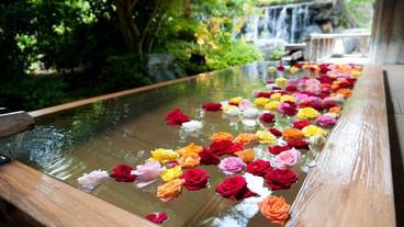 施設の敷地 / 18