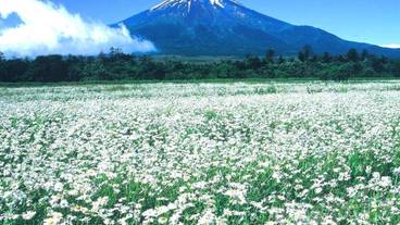 メイン イメージ / 1