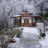 松乃温泉 水香園（東京都 旅館） / 3