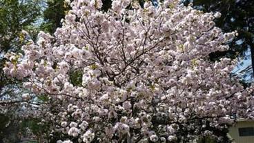 施設の敷地 / 18