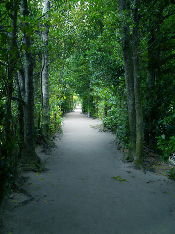 色鮮やかな沖縄の恵みがたっぷり！心躍る朝食を3959880
