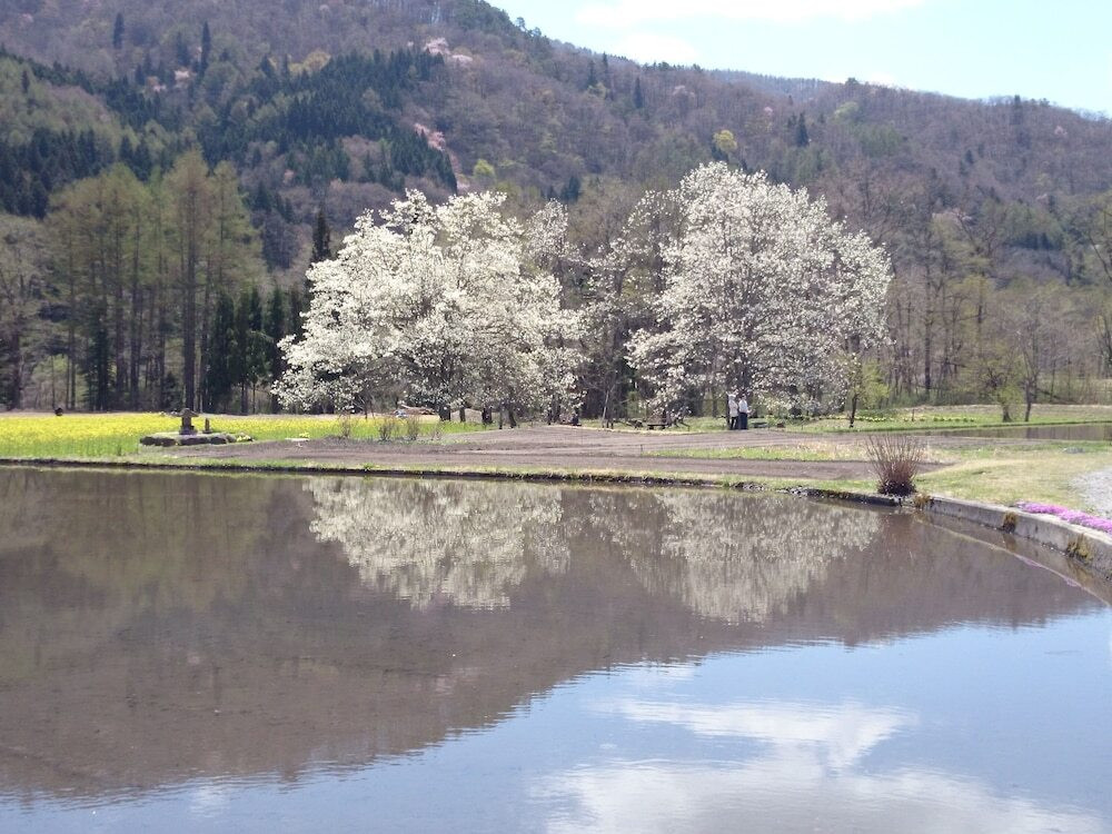 マウンテン ビュー