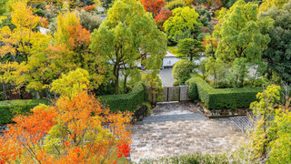 プレミアム ルーム