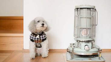 施設内の設備 / 3