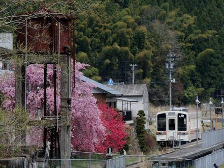 火の谷温泉 美杉リゾート / 3