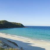 種子島あらきホテル（鹿児島県 ビジネスホテル） / 3