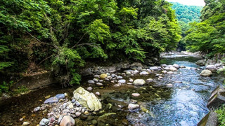 [和美麗] 15平米 喫煙