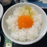 新・海花亭いずみ（シンカイカテイイズミ）