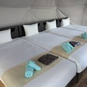 グランピングリゾート群馬 BLISSFUL GARDEN（群馬県 グランピング） / 2