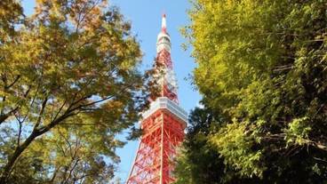 観光スポット / 24