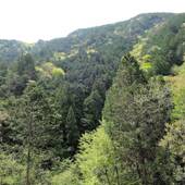 ペンション AKA-TOMBO（あかとんぼ）（愛知県 ペンション） / 2