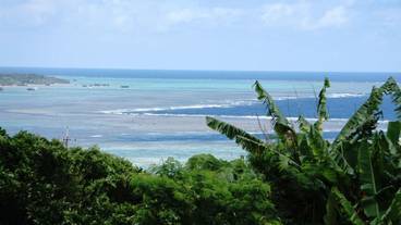 施設からの眺望 / 11