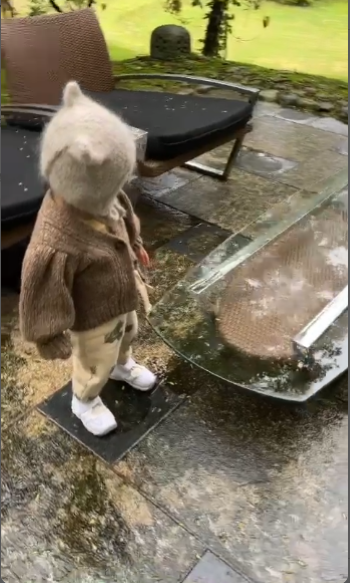 a___y03.226さんの写真 / 1