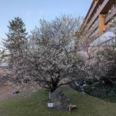大江戸温泉物語 加賀片山津温泉 ながやま(石川県 旅館) / 3
