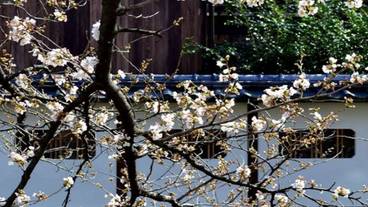 施設の敷地 / 15