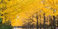 【天童温泉】カップルの旅行やデートに♡おすすめ観光スポット14選／山形県