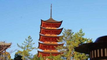 観光スポット / 7