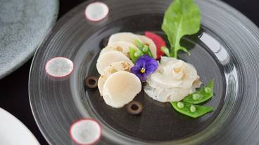 食事・飲み物 / 13